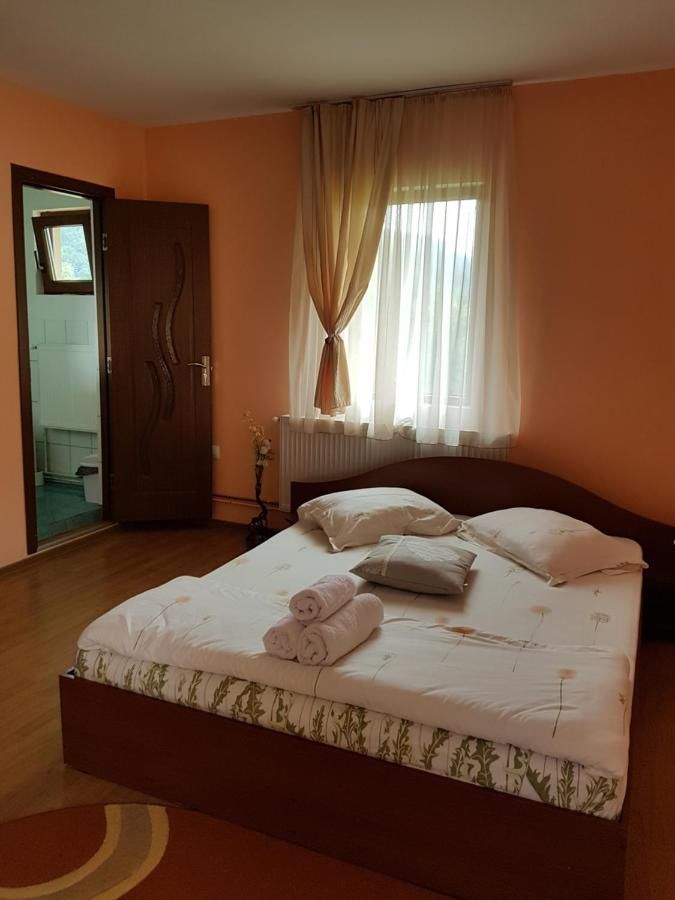 Отели типа «постель и завтрак» Vila Carmen Cazaci-30